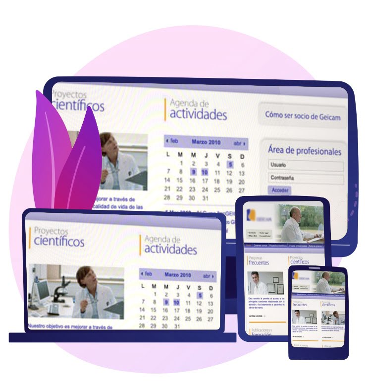 Proyectos Desarrollo Web Proyectos Desarrollo Web